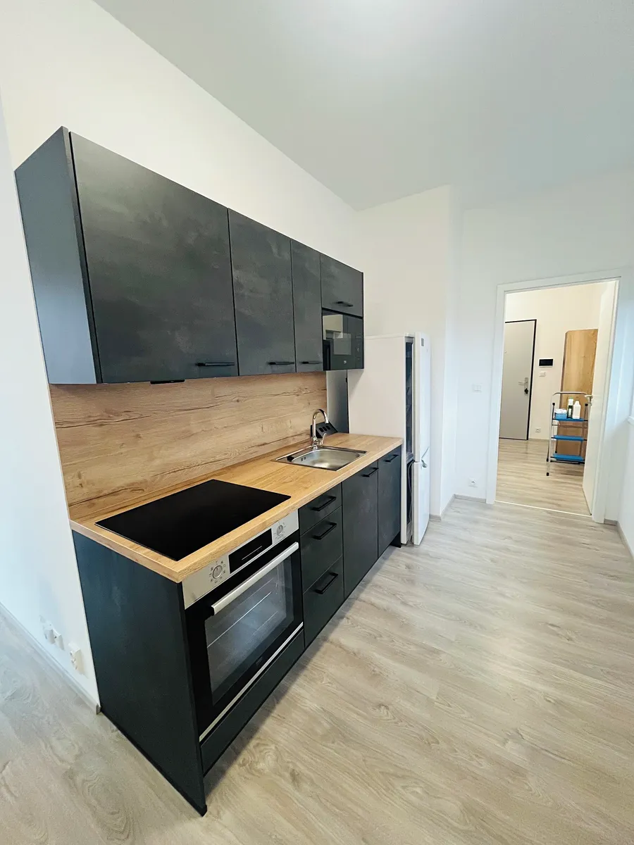 Pronájem bytu 1+kk 60 m²